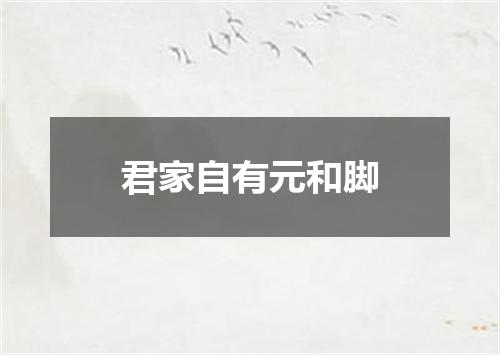 君家自有元和脚