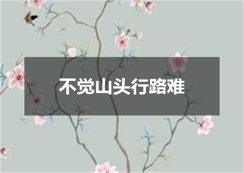 不觉山头行路难