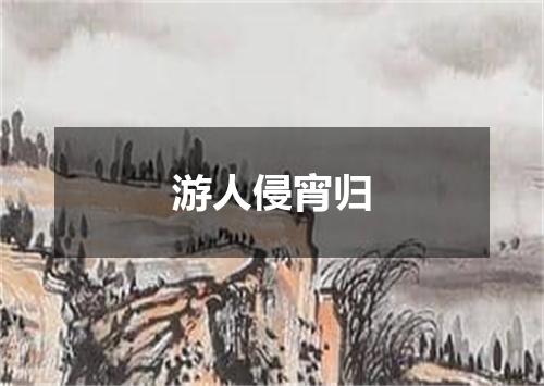 游人侵宵归