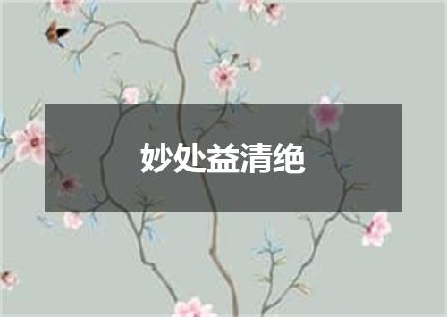 妙处益清绝