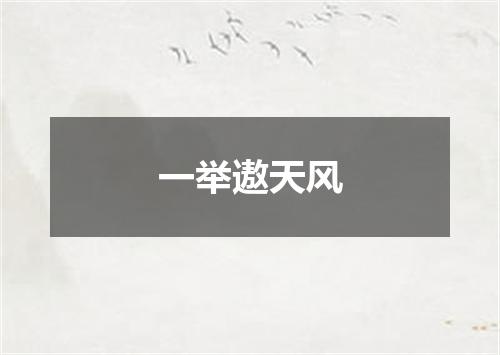 一举遨天风