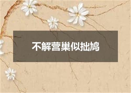不解营巢似拙鸠