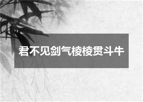 君不见剑气棱棱贯斗牛