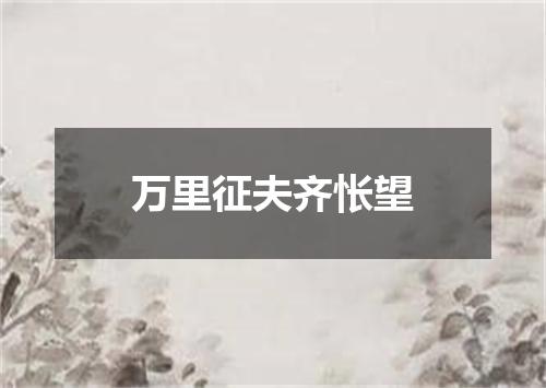 万里征夫齐怅望