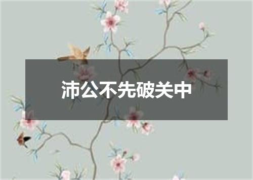 沛公不先破关中