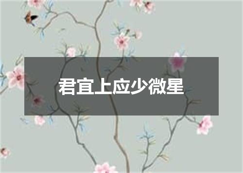 君宜上应少微星