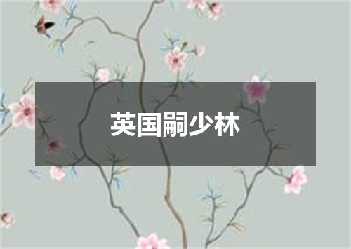 英国嗣少林