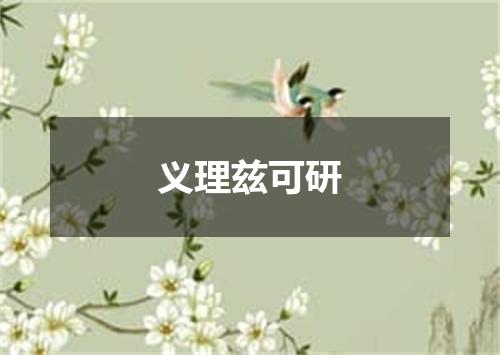 义理兹可研