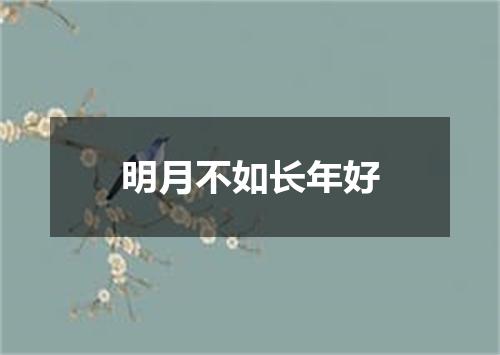 明月不如长年好