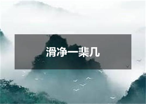 滑净一棐几