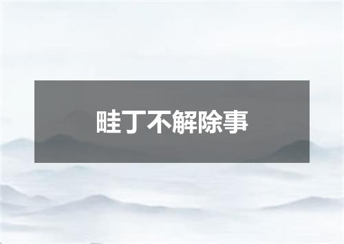 畦丁不解除事