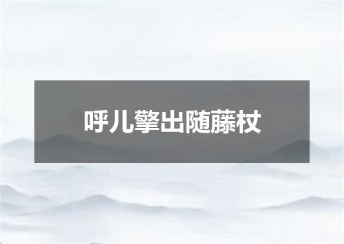 呼儿擎出随藤杖