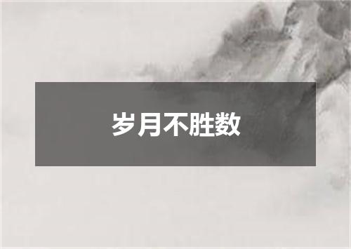 岁月不胜数