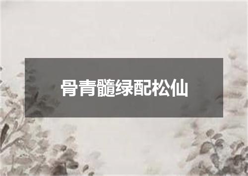 骨青髓绿配松仙
