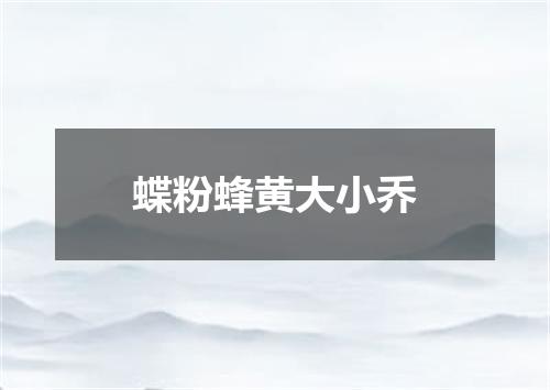 蝶粉蜂黄大小乔