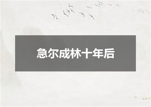 急尔成林十年后