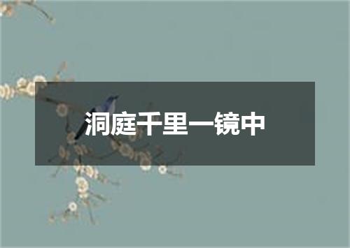 洞庭千里一镜中