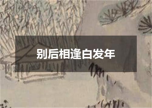 别后相逢白发年