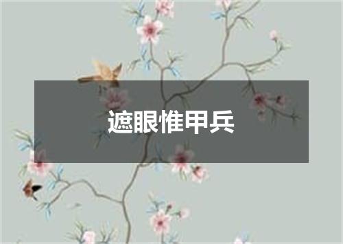 遮眼惟甲兵