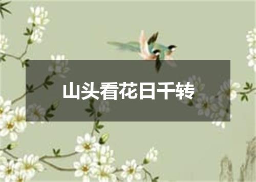 山头看花日千转