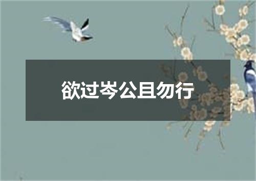 欲过岑公且勿行
