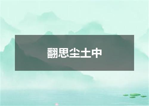 翻思尘土中