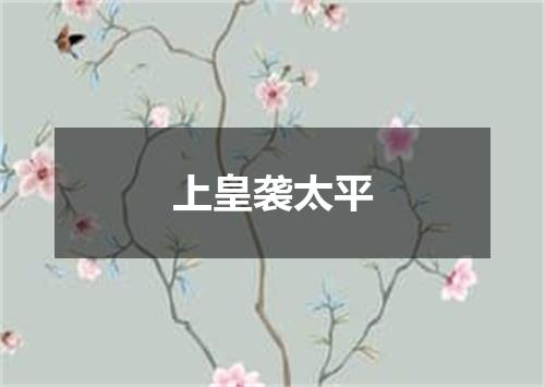 上皇袭太平