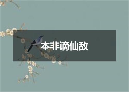 本非谪仙敌