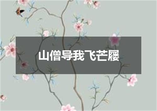 山僧导我飞芒屦