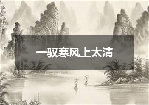 一驭寒风上太清