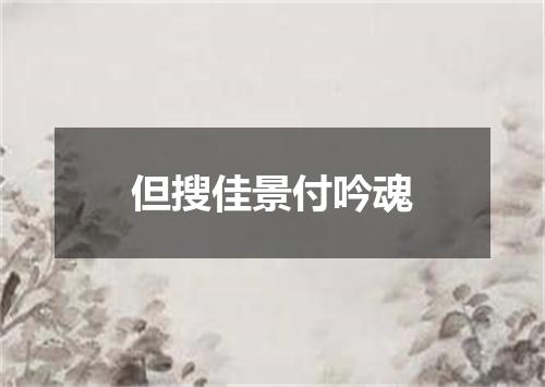 但搜佳景付吟魂