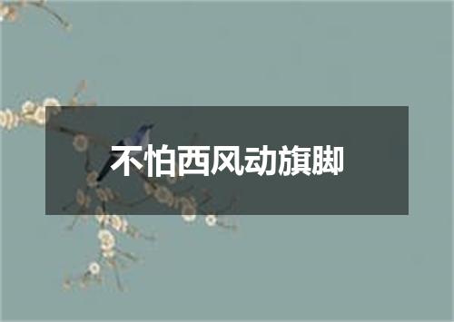不怕西风动旗脚