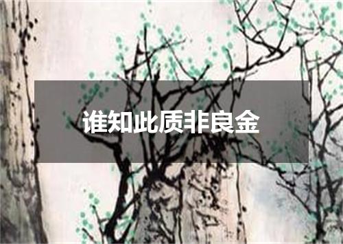 谁知此质非良金