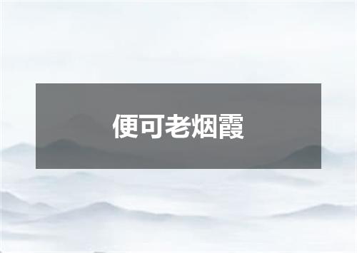 便可老烟霞