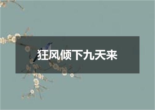 狂风倾下九天来