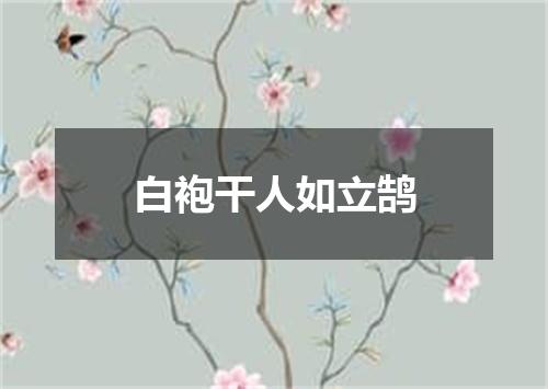 白袍干人如立鹄