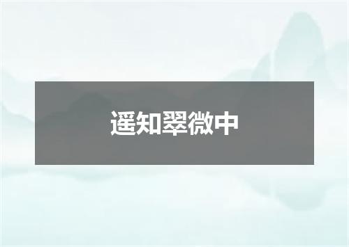 遥知翠微中