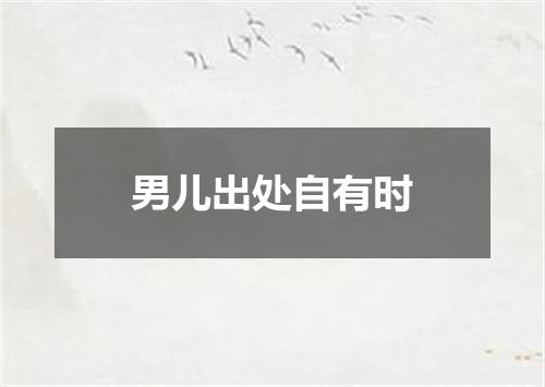 男儿出处自有时
