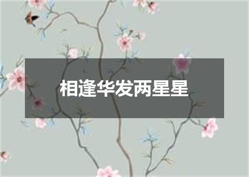 相逢华发两星星