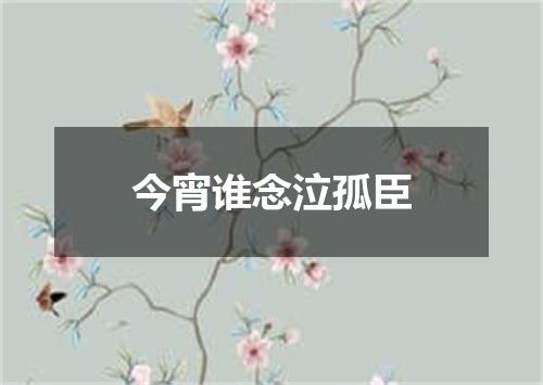今宵谁念泣孤臣