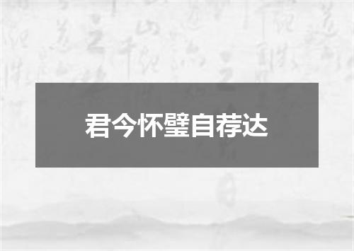君今怀璧自荐达