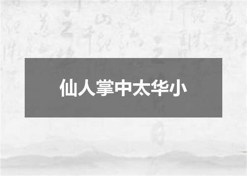 仙人掌中太华小
