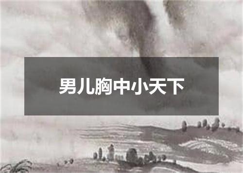 男儿胸中小天下