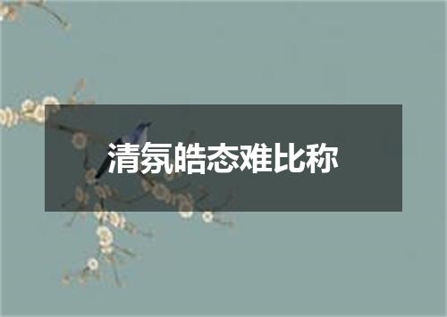 清氛皓态难比称