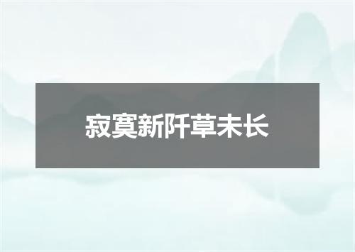 寂寞新阡草未长