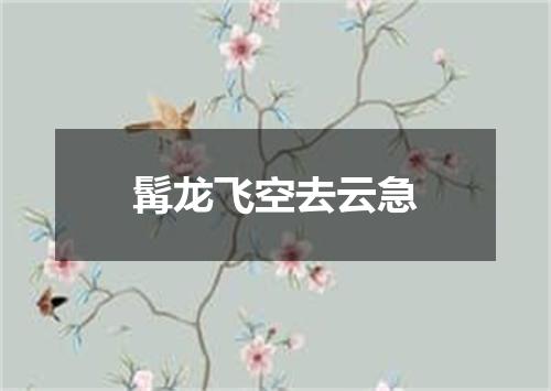 髯龙飞空去云急