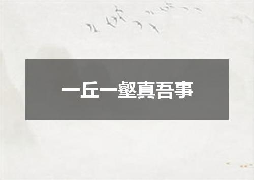 一丘一壑真吾事