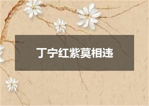 丁宁红紫莫相违