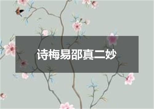 诗梅易邵真二妙