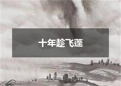 十年趁飞蓬